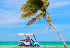 Costa Maya Golf Cart Rental cruise excursion